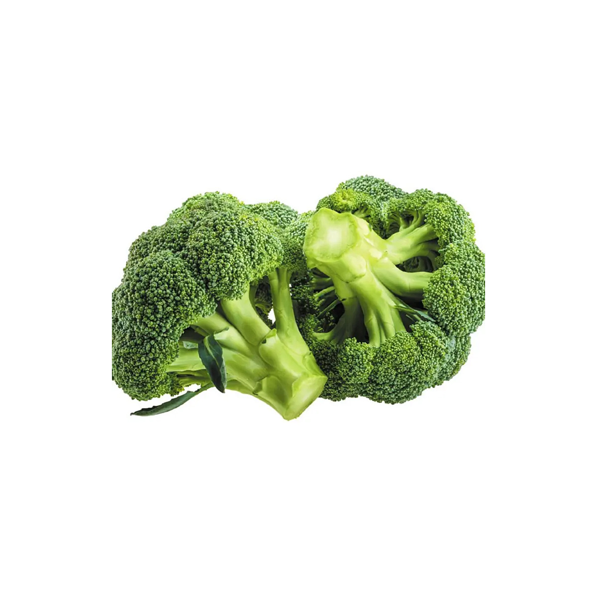 Picture of Advanced inspiring - Exceotional Quality - F1 Hybrid broccoli 25 seeds (broccoli seeds) - Vintage Choice - Expression of Yourself