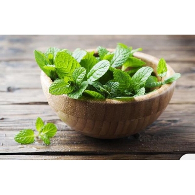 Picture of Pudina পুদিনা / Mint Seeds (20 Pcs)