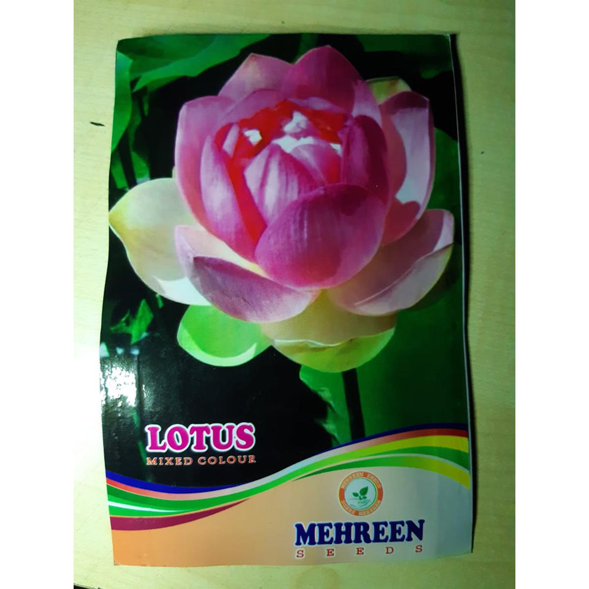 Picture of Lotus Flower 2 Seeds