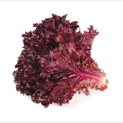 Picture of Red Lettuce Seeds 50Pcs