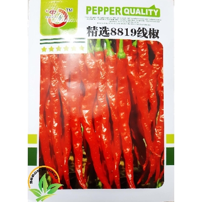 Picture of Red Spicy Chili Seeds - 20 Pcs