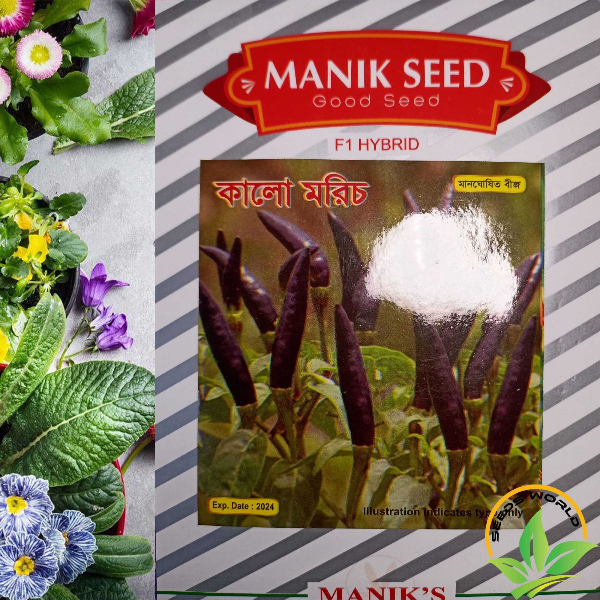 Picture of Black Chilli Seeds INTAKE PACKET All Season