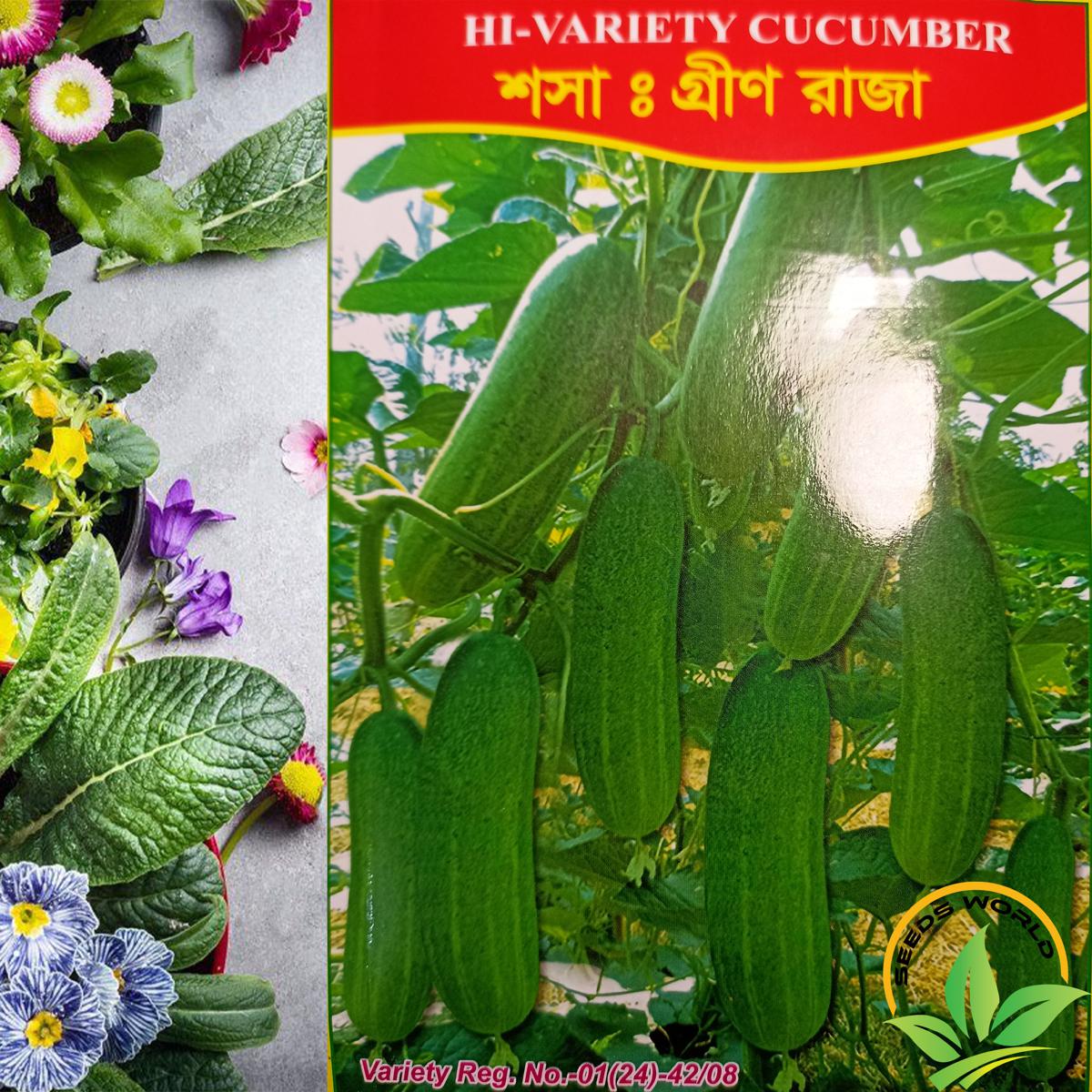 Picture of Hybrid Cucumber Seeds ( Hybrid Sosha )  INTAKE PACKET