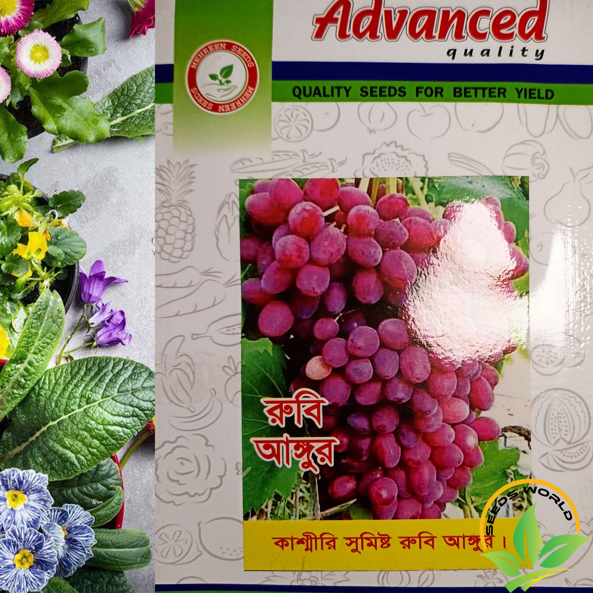 Picture of Kashmiri Grape Seeds INTACT PACKET