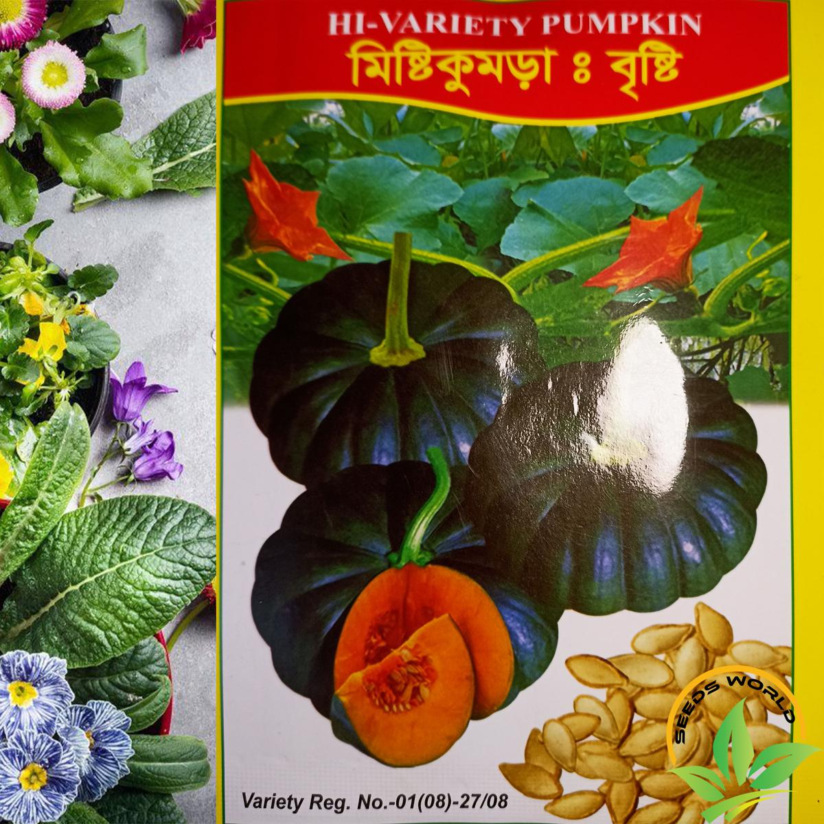 Picture of All Season F1 Hybrid Pumpkin Seeds INTACT PACKET 6 GRAM