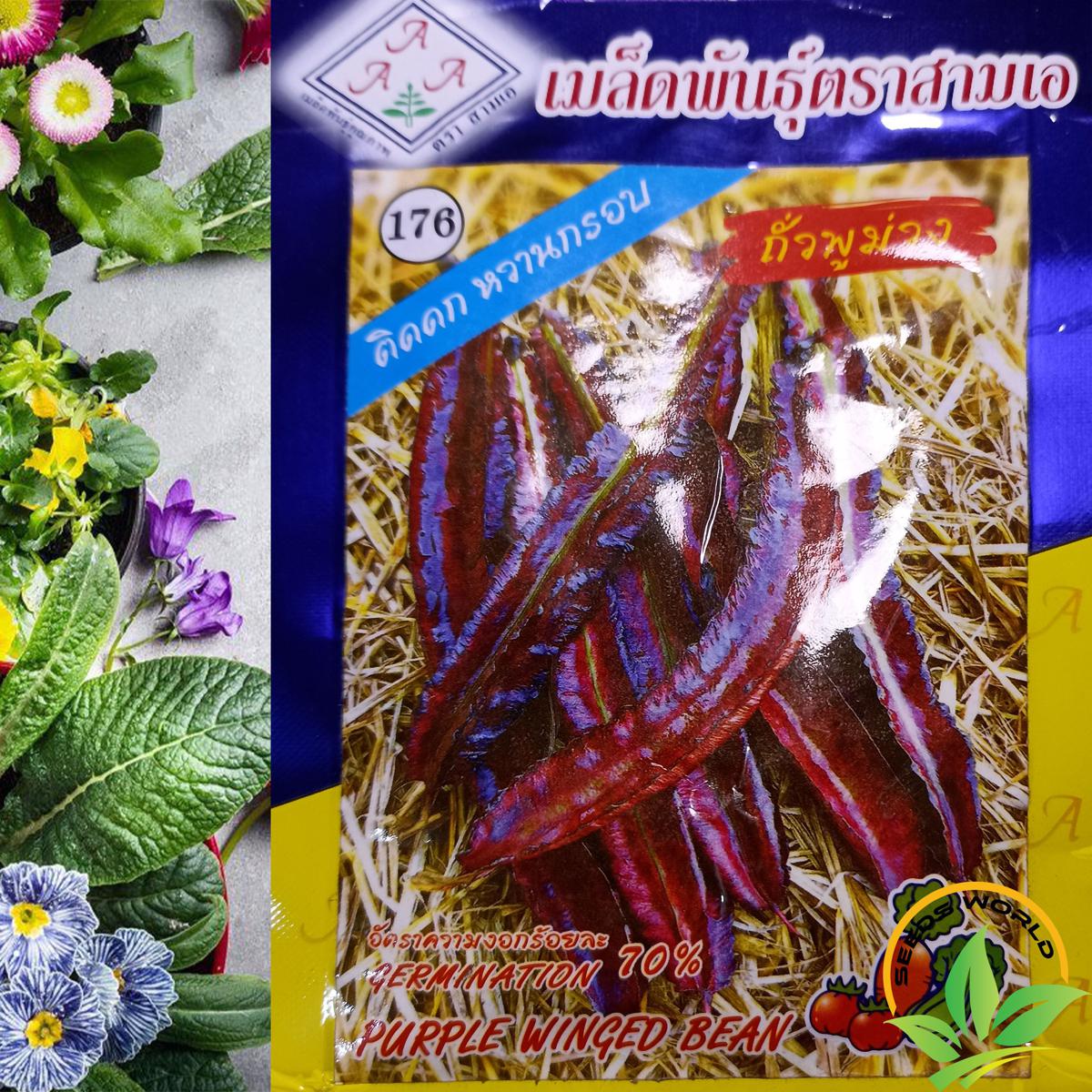 Picture of Purple Winged Bean, Goa Bean Four-Angled Bean SEEDS (কামরাঙ্গা উরি শিম ) INTACT PACKET