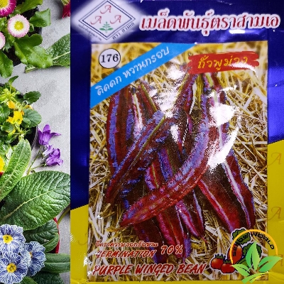 Picture of Purple Winged Bean, Goa Bean Four-Angled Bean SEEDS (কামরাঙ্গা উরি শিম ) INTACT PACKET
