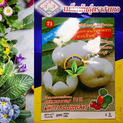 Picture of White Big Eggplant SEEDS INTACT PACKET