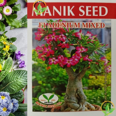 Picture of Bonsai F1 Adenium Mixed seeds Intact Packet
