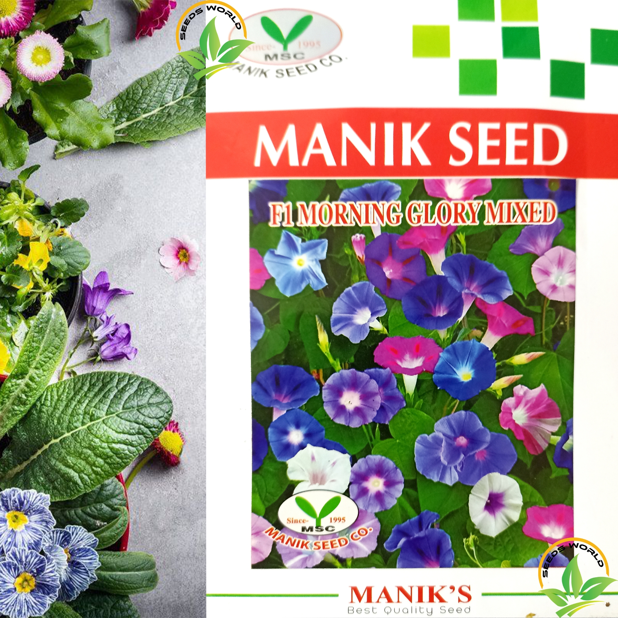 Picture of Morning Glory F1 Mixed Flower Seeds Intact Packet