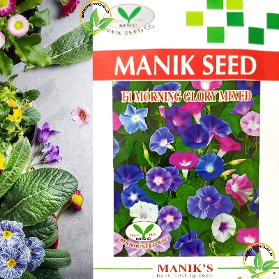 Picture of Morning Glory F1 Mixed Flower Seeds Intact Packet