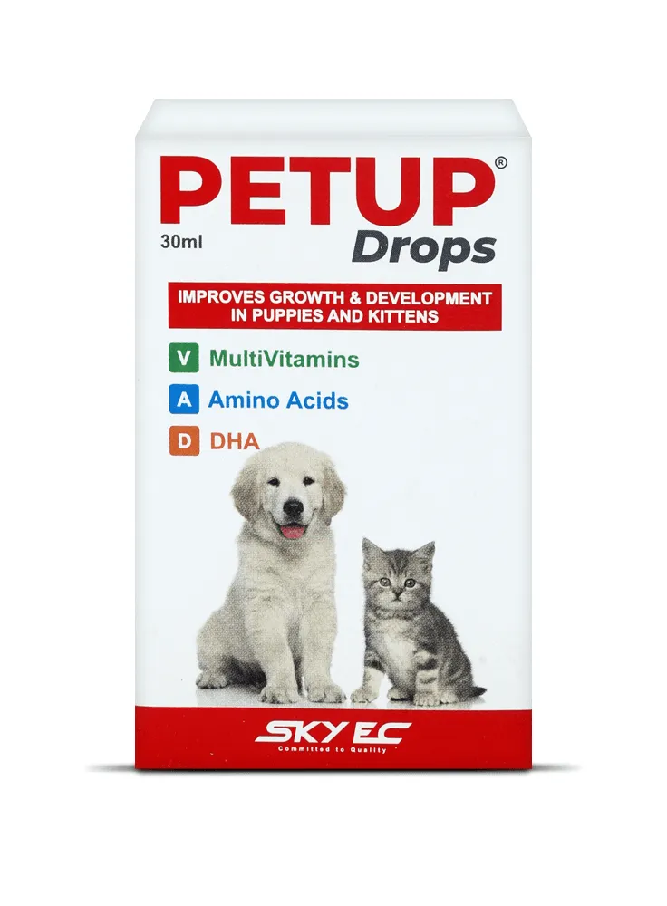 Picture of Royal Sigma Royal Sigma Petup Drops Multi Vitamins for Puppy - 30 ML (1)