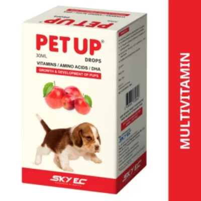 Picture of Royal Sigma Royal Sigma Petup Drops Multi Vitamins for Puppy - 30 ML (1)