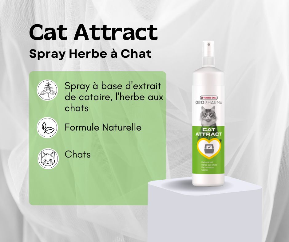 Picture of Versele Laga Oropharma Cat Attract Catnip Spray (200ml)