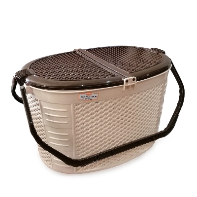 Picture of Cat Carrying Basket