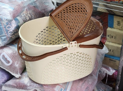 Picture of Cat Carrying Basket