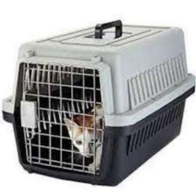 Picture of Jet Box  Pet Carrier  Travelling Box for Cat & Puppy High Quality