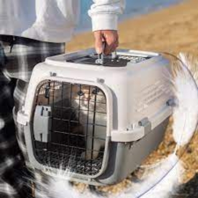 Picture of Pet Carrier Cat Dog Suitcase Air Transport Box Travel Hospital Carry Case Container Car Box Air Transport Carry Bag Transport Cat Dog Cage Out Box Camping Carry ( Size- L)