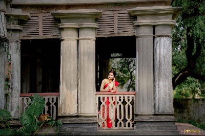 Picture of Indian SoftSilk Katan Saree