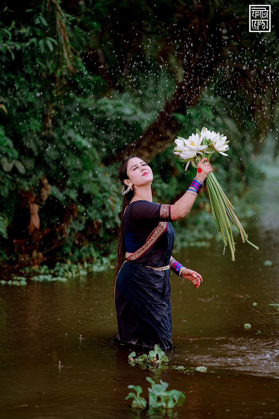 Picture of Maslice Cotton Saree