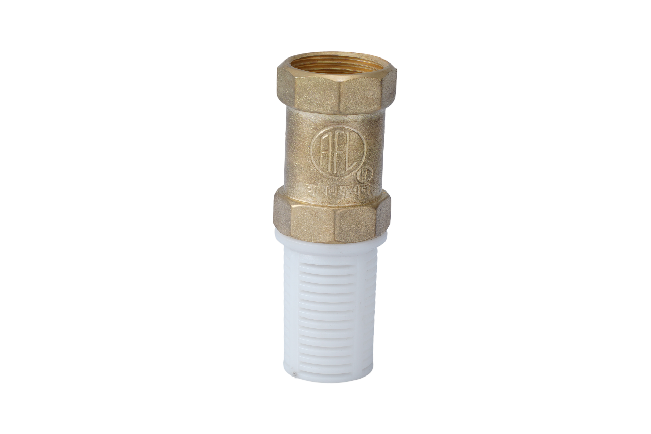 Picture of Brass Check Valve 1" 
