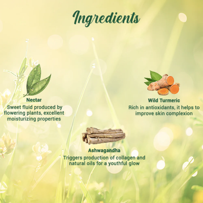 Picture of Biotique Morning Nectar Nourish & Hydrate Moisturizer - 120ml