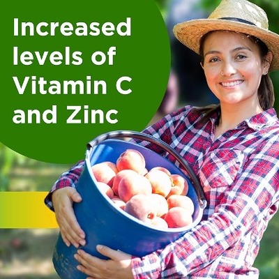 Picture of Centrum Adult Multivitamin/Multimineral Supplement with Antioxidants, Zinc, Vitamin D3 and B Vitamins, Gluten Free, Non-GMO Ingredients - 200 Count