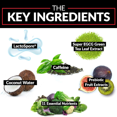 Picture of Force Factor ProbioSlim Weight Loss Essentials - 120 Capsules