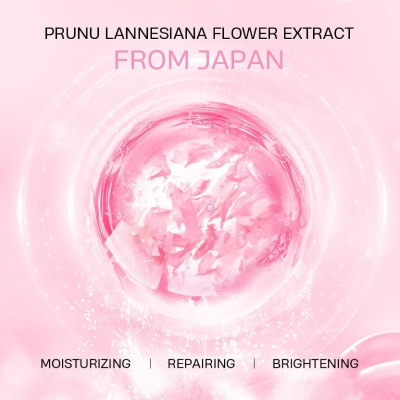 Picture of Laikou Japan Sakura Sleeping Lip Mask - 8g