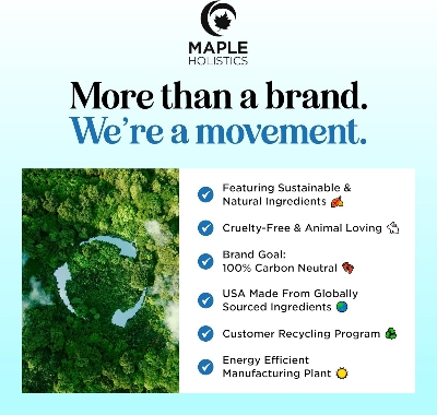 Picture of Maple Holistics Biotin Conditioner 236 ml