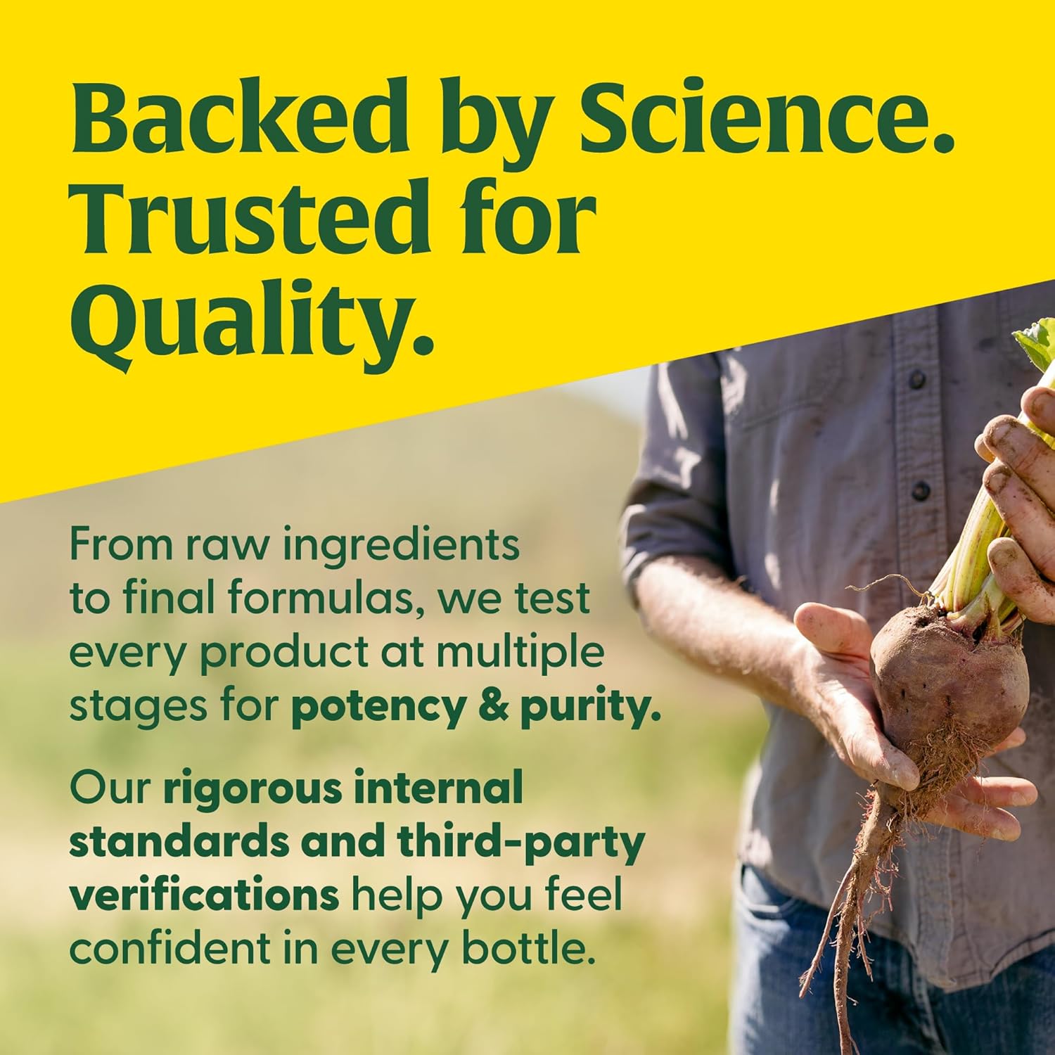 Picture of MegaFood Baby & Me 2 Postnatal Vitamins for Women Breastfeeding with Folate Choline, Iodine, Vitamin D, Moringa Leaf and More - 60 Tabs (30 Servings)