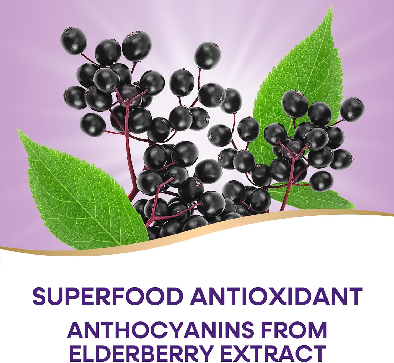 Picture of Nature’s Way Sambucus Elderberry Immune Gummies 60 Gummies