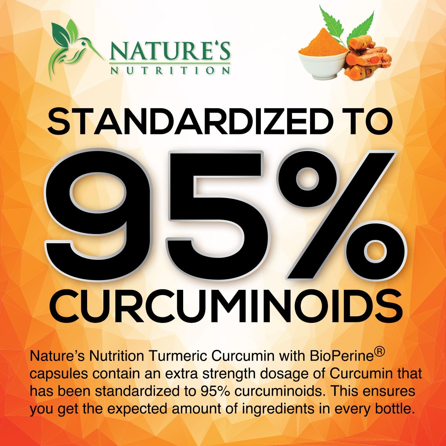 Picture of Nature's Nutrition Turmeric Curcumin Supplement 1950mg with Organic Turmeric & Ginger 95% Curcuminoids BioPerine Black Pepper - 120 Capsules