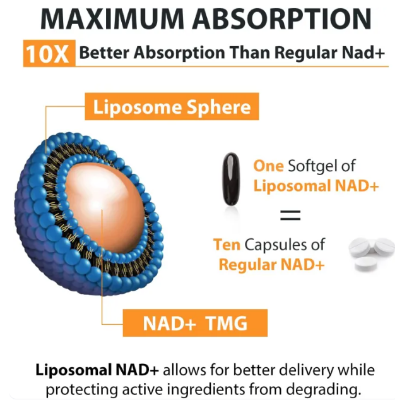Picture of Orgabay Liposomal NAD+ Supplement 500 mg High Absorption Boost NAD+ with TMG 250 mg Actual NAD Plus More Efficient Than Nicotinamide Riboside Support Cellular Energy Healthy Aging 60 Softgels