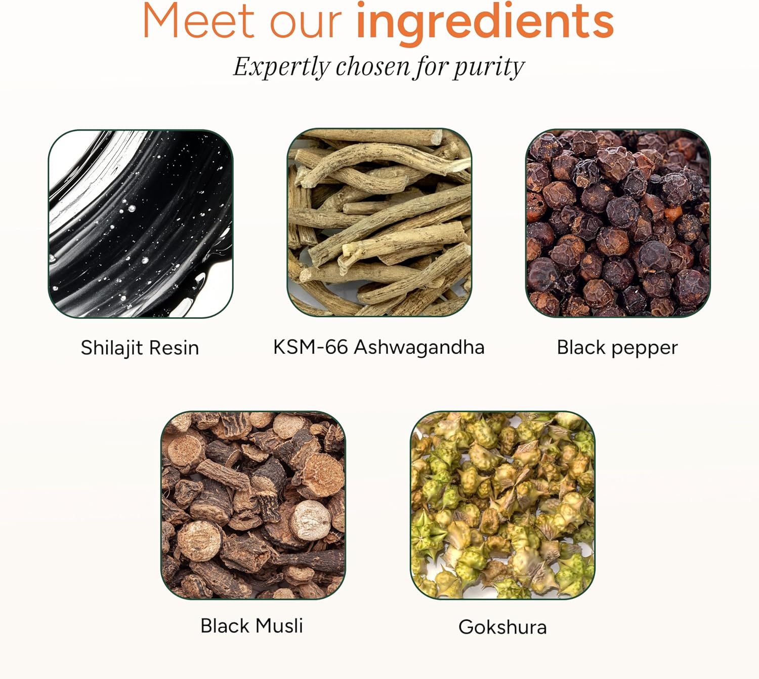 Picture of ROOT LABS Pure Himalayan Shilajit Gummies KSM-66 Ashwagandha, Gokshura| 75%+ Fulvic Acid & 85+ Trace Minerals Men,Women 60 Gummy