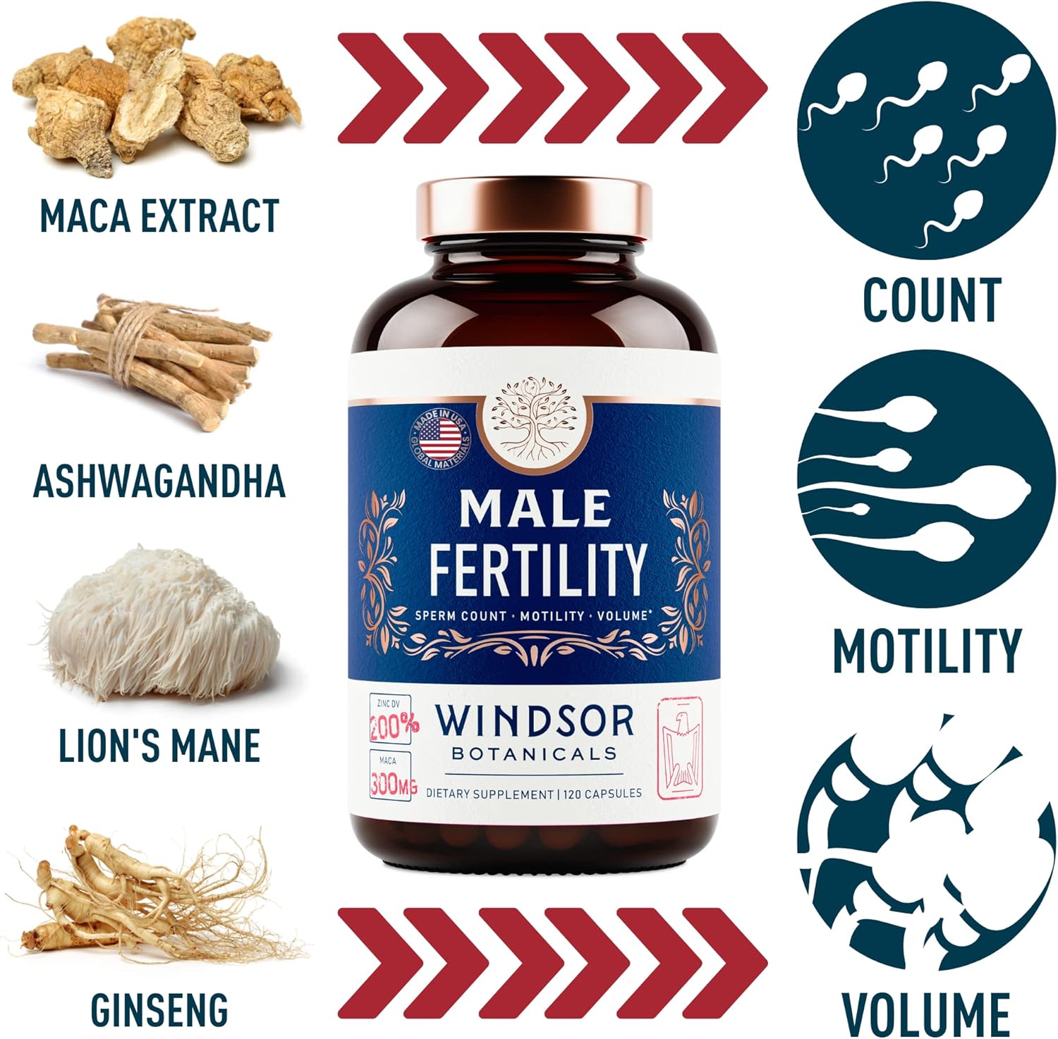 Picture of WINDSOR BOTANICALS Male Fertility Supplement with Mens Health Conception Fertility Prenatal Vitamins Plus Natural Extracts 120 Capsules