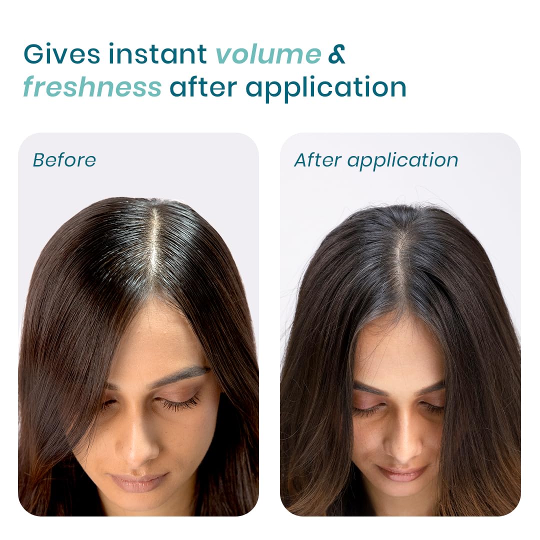 Picture of WishCare Air Powder Dry Shampoo for Oily Hair & Scalp - No White Cast & Aerosol - Niacinamide, Probiotics, Kaolin Clay, Rice & Tapioca Starch - Volume Boost, Scalp Refresh & Reset 10gm