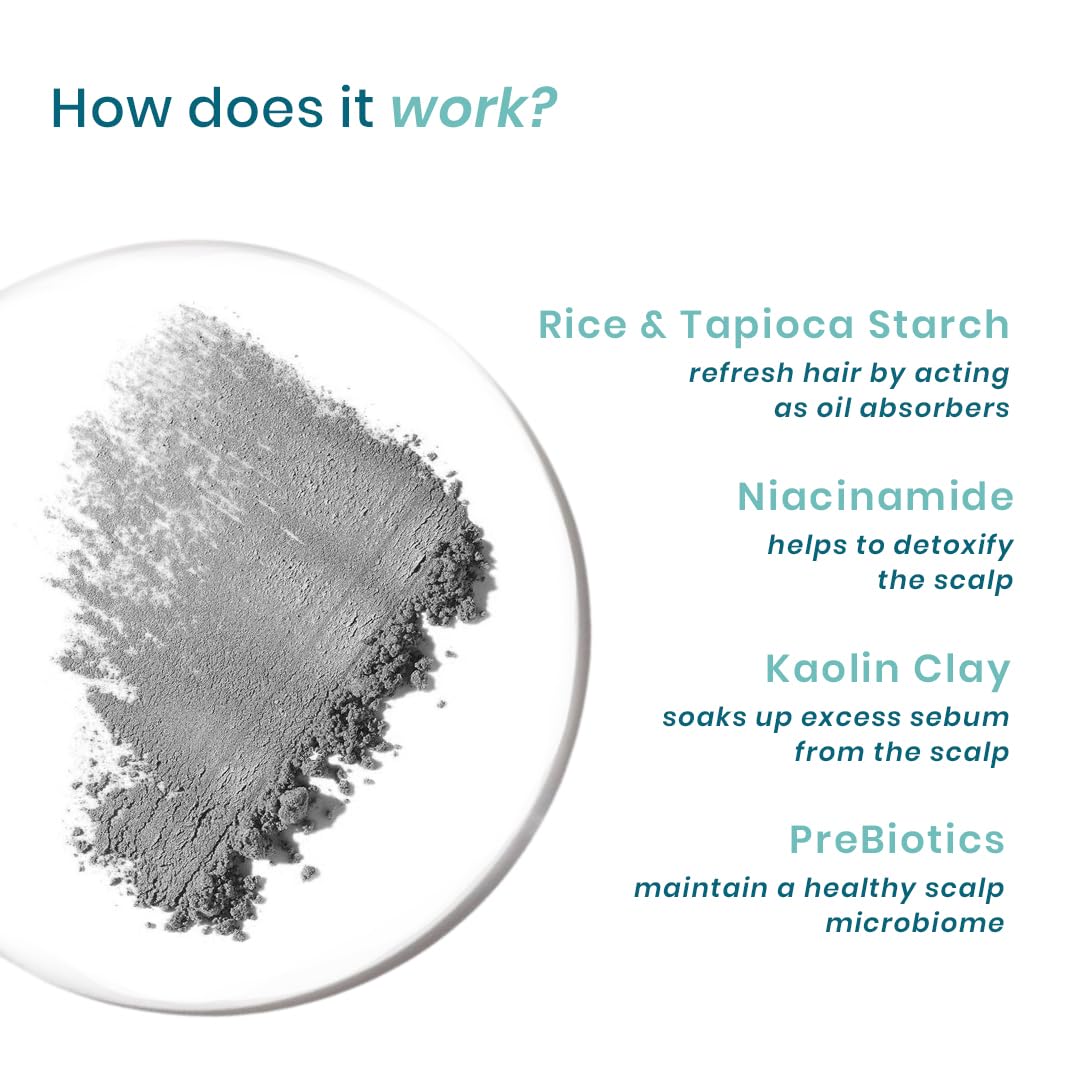 Picture of WishCare Air Powder Dry Shampoo for Oily Hair & Scalp - No White Cast & Aerosol - Niacinamide, Probiotics, Kaolin Clay, Rice & Tapioca Starch - Volume Boost, Scalp Refresh & Reset 10gm