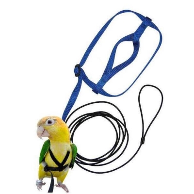 Picture of Adjustable Parrot Bird Harness Leash Anti-Bite Flying Training Rope Pet Outdoor Traction Fit Budgerigar Lovebird Cockatiel Mynah Small Birds