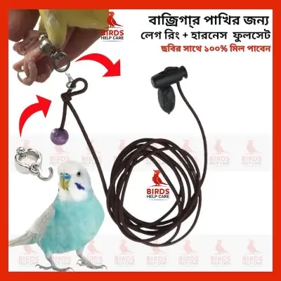 Picture of Regal Butterfly Wooden almirah/ Cupboard l CBH-367-3-1-20