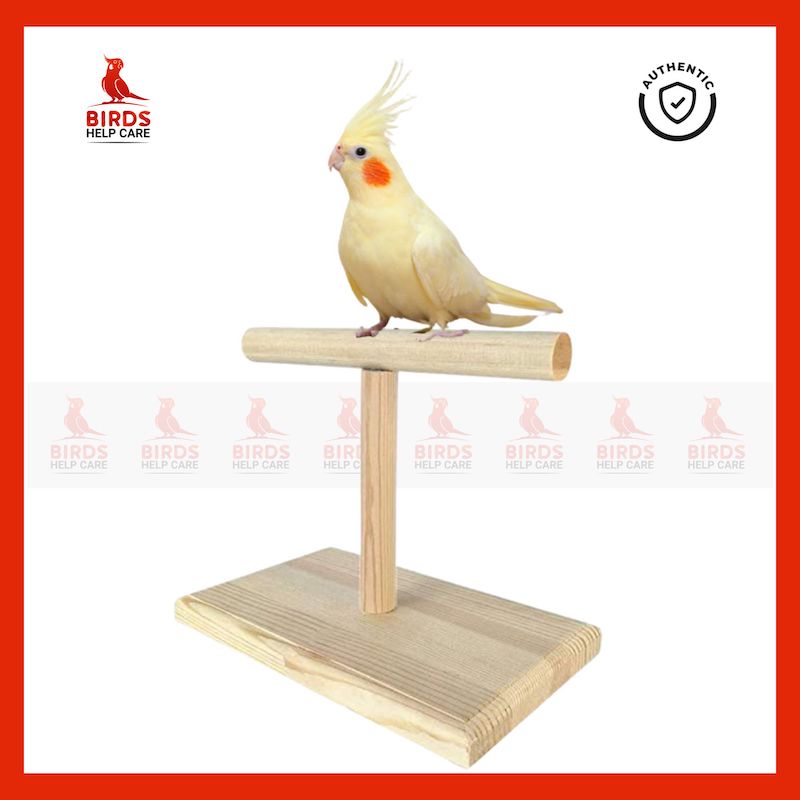 Picture of Regal Venice Dining Chair Wooden Dining Chair CFD-343-3-1-20