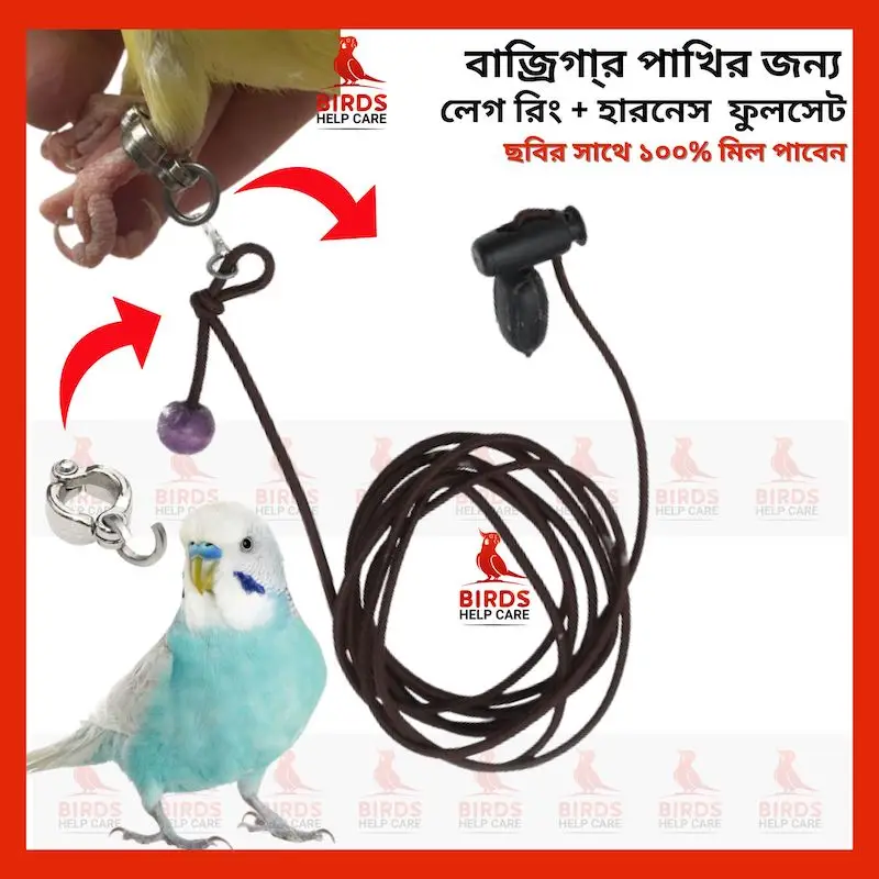 Picture of Regal Butterfly Wooden almirah/ Cupboard l CBH-367-3-1-20