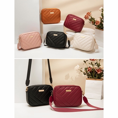Picture of ladies bags foreign trade bag wholesale 2024 new embroidered camera bag texture versatile crossbody bag women's bag messenger bag women's bag