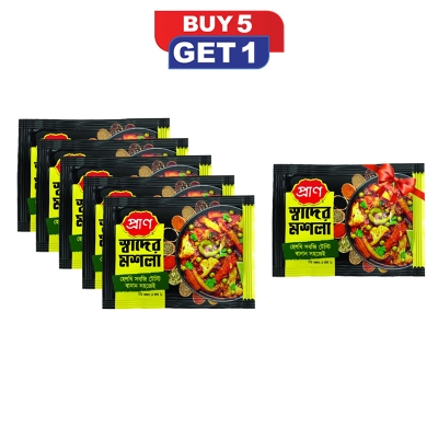 Picture of PRAN Shader Masala (10pcs)