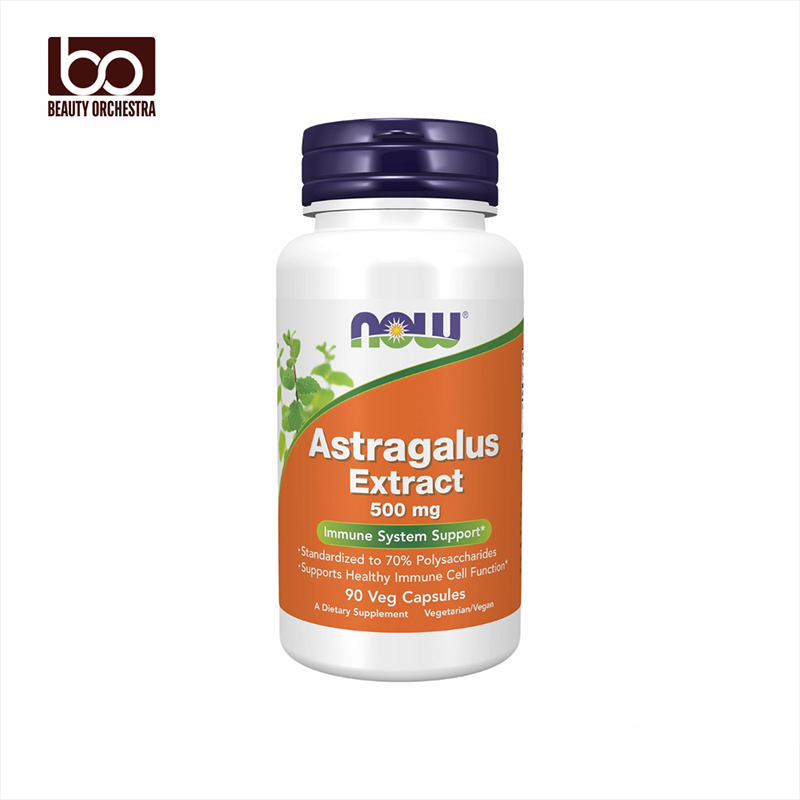 Picture of NOW Astragalus Extract 500 mg Standardized to 70% Polysaccharides 90 Veg Capsules