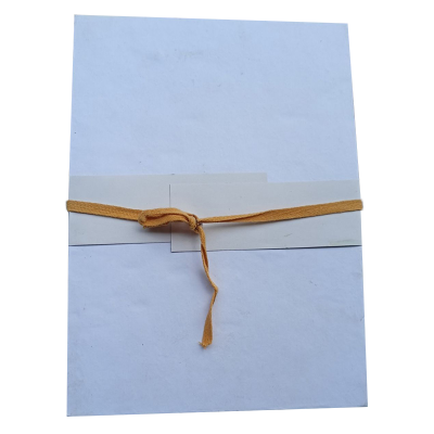 Picture of Board File For Official (12pcs) 20 aounch