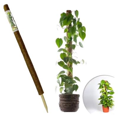 Picture of Coir(Coco peat) Grow Stick 36 inch - 1 piece