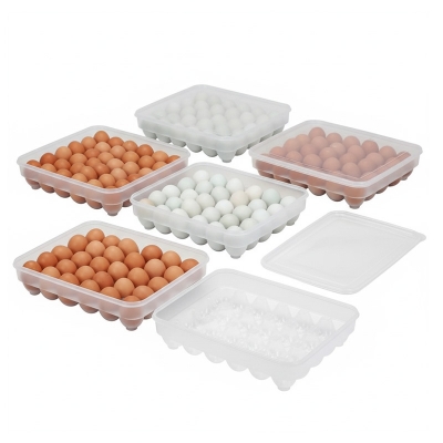 Picture of Smart 34 Grid Egg Storage Box | Kitchen Food Storage & Dispenser for Home & Office