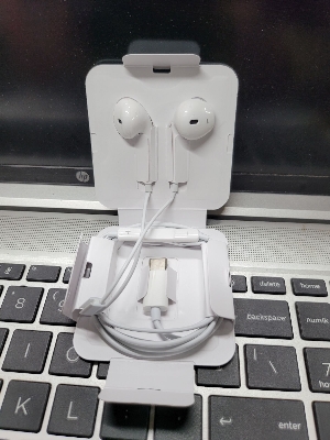 Picture of Google pixel earphone -usb tyep c