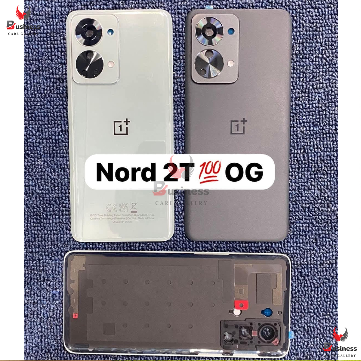 Picture of Replacement Backshell Glass Panel for OnePlus Nord 2T 5G Battery Back Door Housing - 100 Original